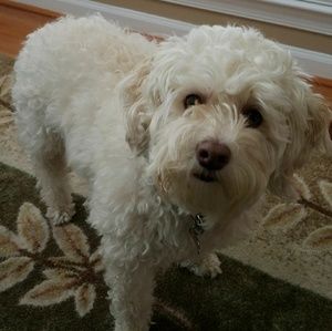 Meet your Posher, Jenny