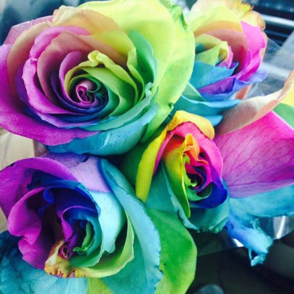 😙Meet your Favorite Posher,Kourtney😚