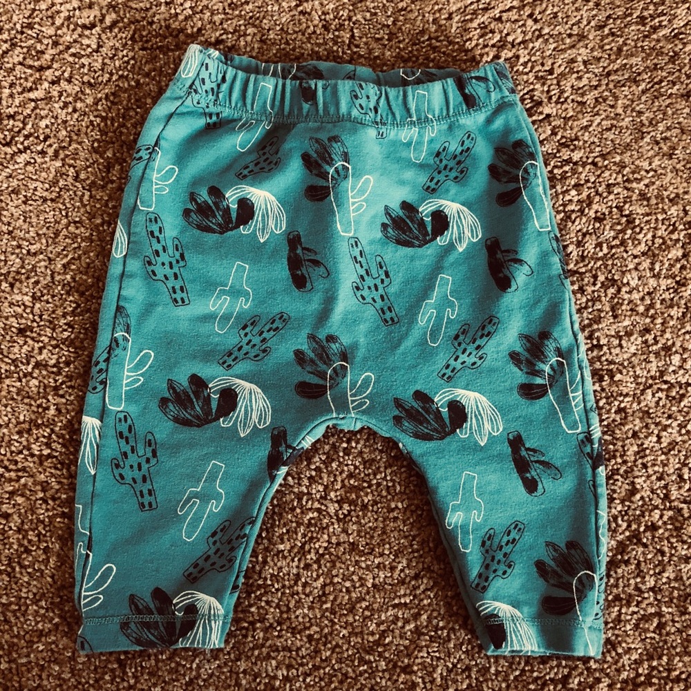 Cactus Joggers/Pants