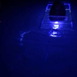 Meet your Posher, Timerie