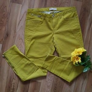 Zara Z1975  Chartreuse Stretch Skinny Moto Denim