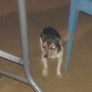 Meet your Posher, Pablo