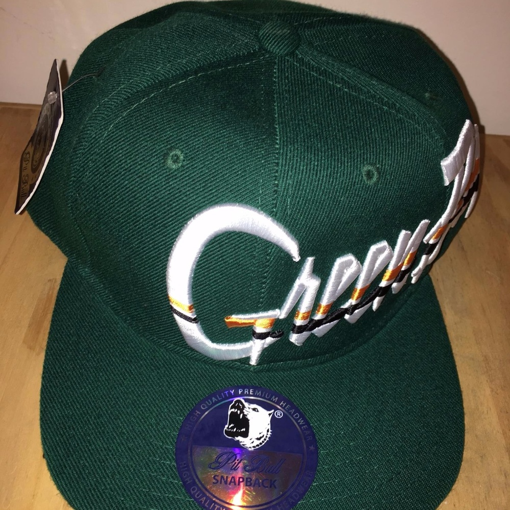 Green Bay Pit Bul Cap Hat Packers Fans w/ TAg