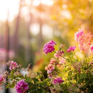 Meet your Posher, Valeria