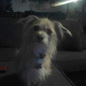 Meet your Posher, Zaira