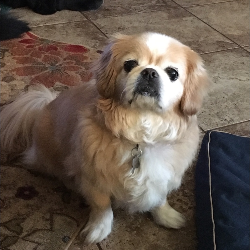 Meet your Posher, Cody