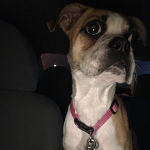 Meet your Posher, Anthony