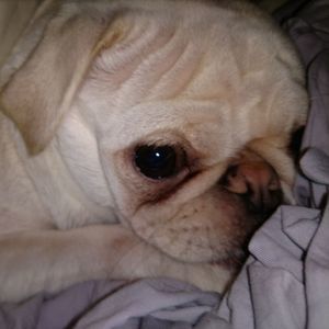 Meet your Posher, Kathi