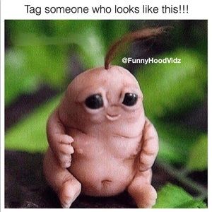 Meet your Posher, Derwin