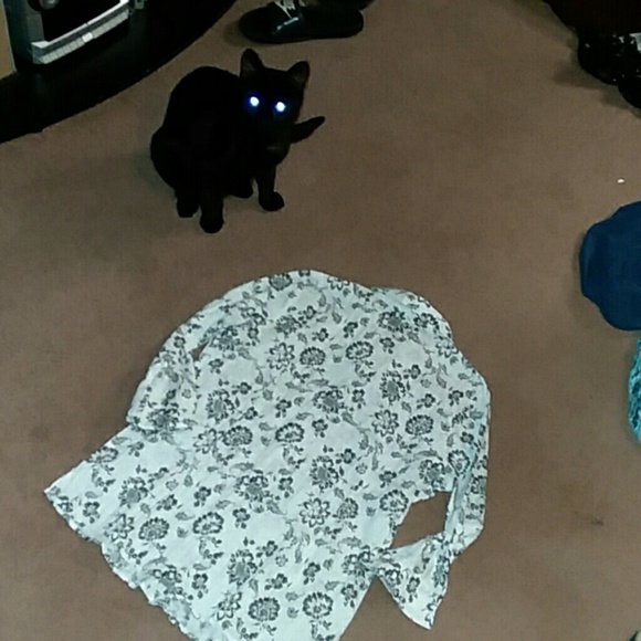 Button up dress shirt - Picture 4 of 4