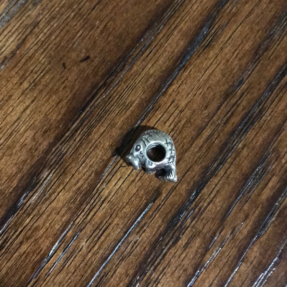 Fish charm
