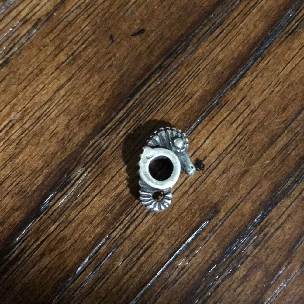 Seahorse Charm