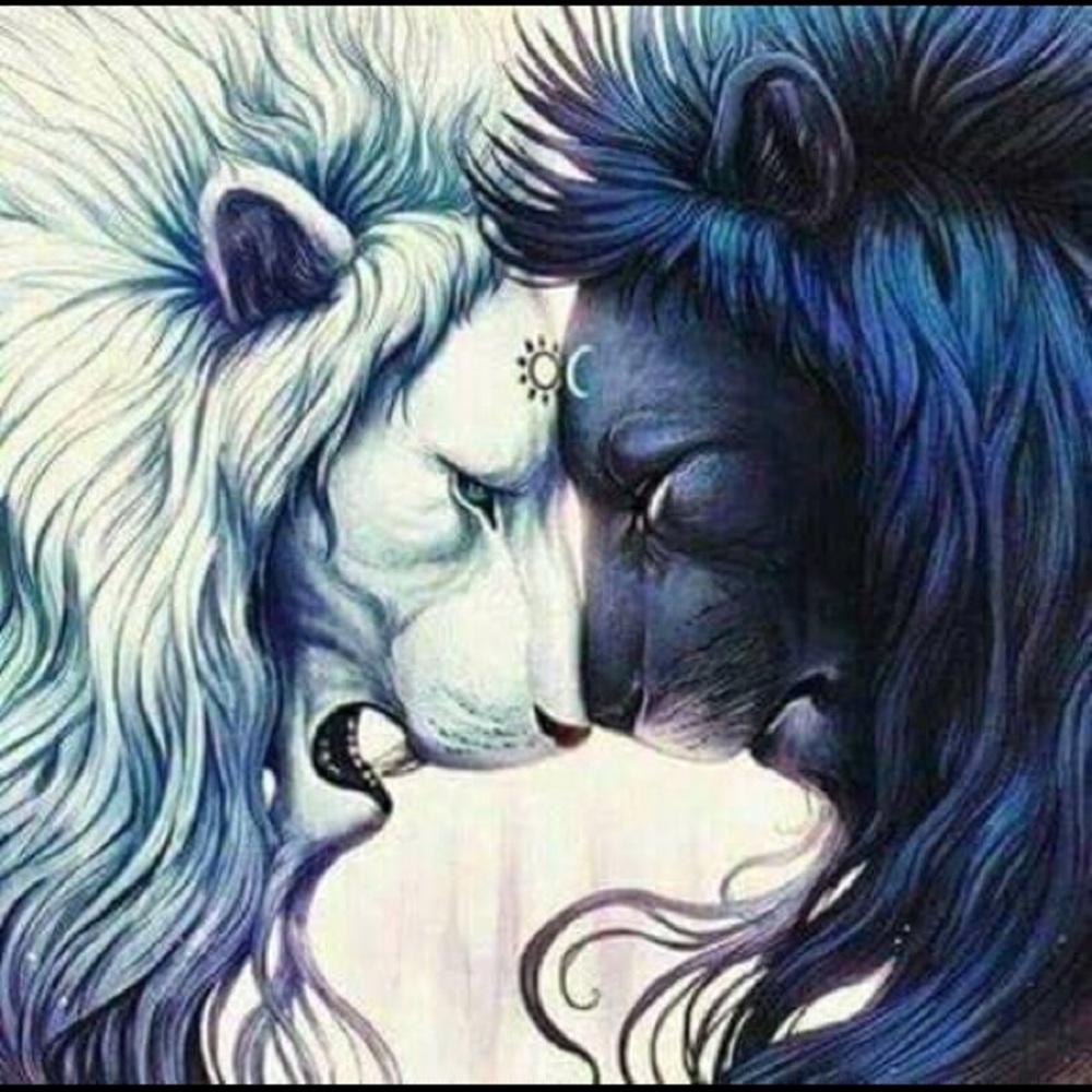 Meet your Posher, Tamara