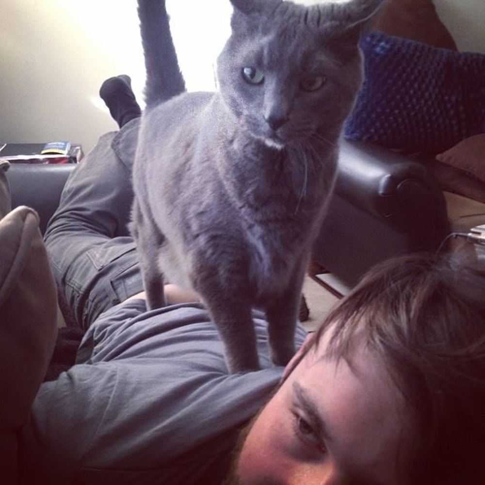 Meet your Posher, Joel