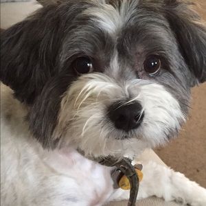 Meet your Posher, Colleen