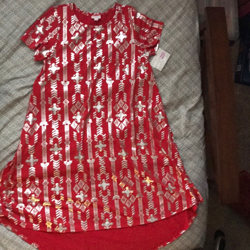 Lularoe Carly look in description