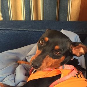 Meet your Posher, Mira