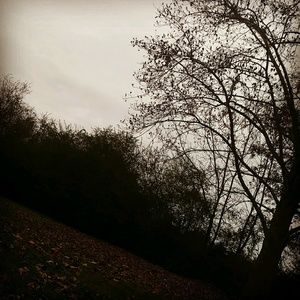 Meet your Posher, Maddie