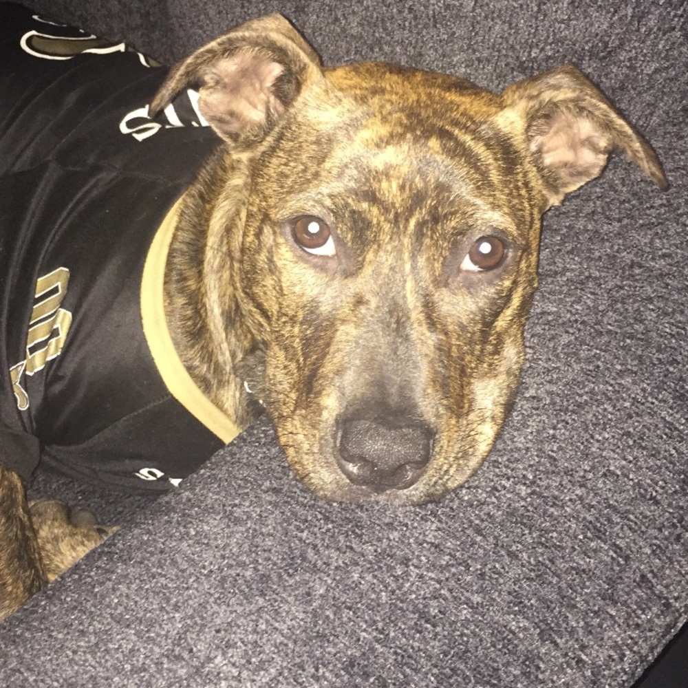 Meet your Posher, Nilda