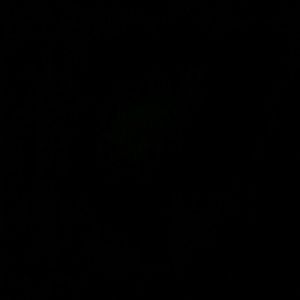 Meet your Posher, Jayden