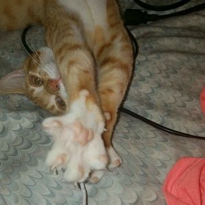 Meet your Posher, Marion