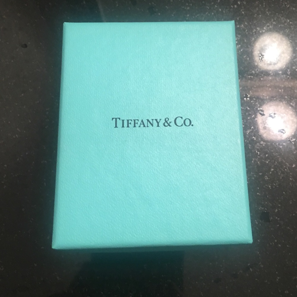 Tiffany and Co Necklace