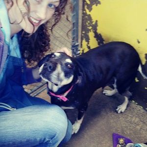 Meet your Posher, Christa