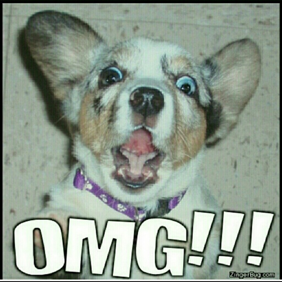 Co-hosting a Poshmark Party! Nov 24 Host - Picture 2 of 5