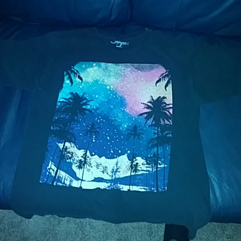 Empyre Palm tree night sky