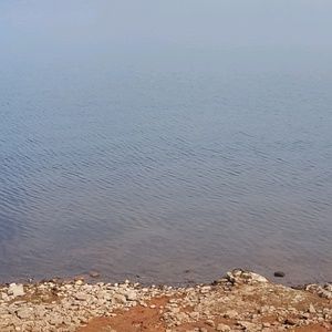 Meet your Posher, Yul