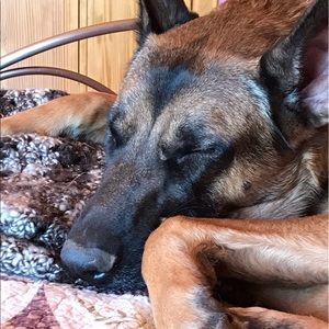 Meet your Posher, Laurie