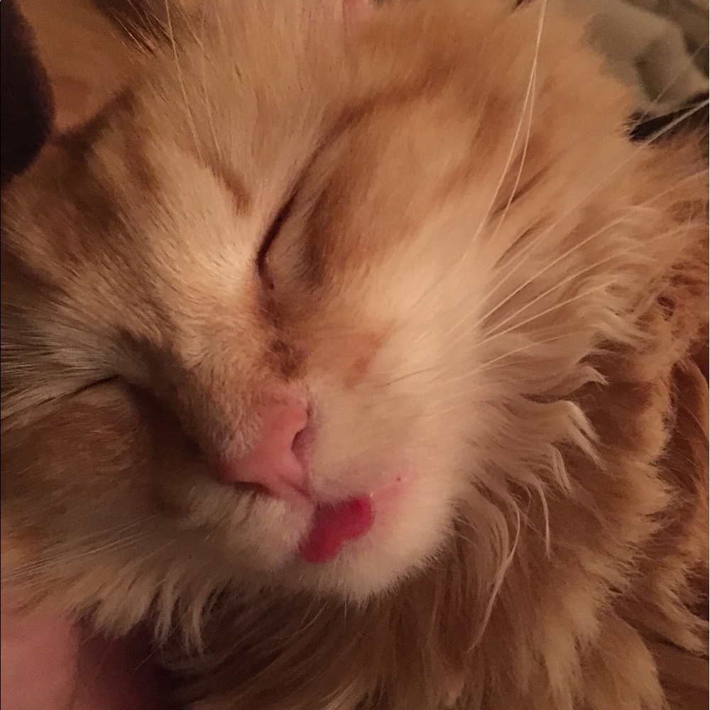 Meet your Posher, Nadia