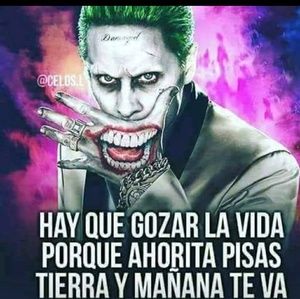 Meet your Posher, Jose