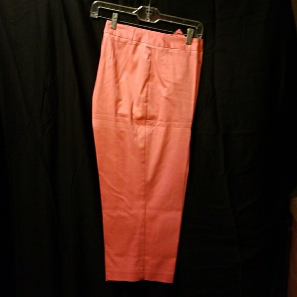 2-peice jacket and Capri pant set - Picture 6 of 7