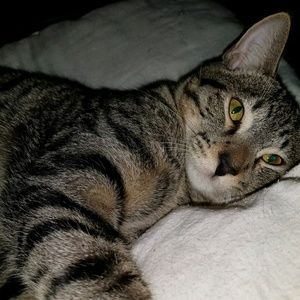 Meet your Posher, Deborah