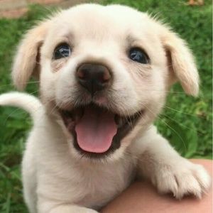 Meet your Posher, Kennifer1