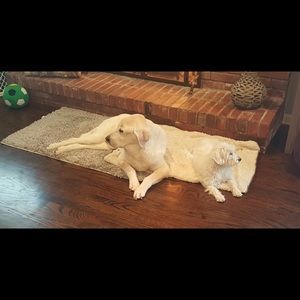 Meet your Posher, Kathryn