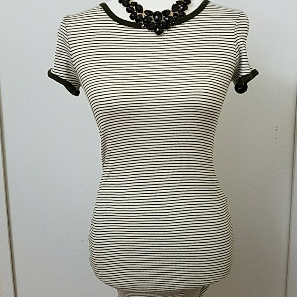 Charlotte Russe S Bodycon Olive green Striped