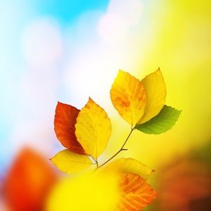 Meet your Posher, Keina