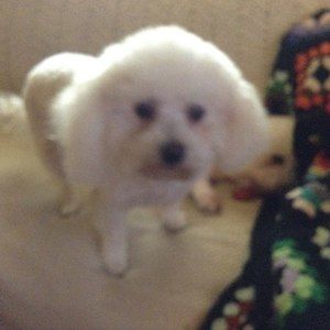 Meet your Posher, Pam