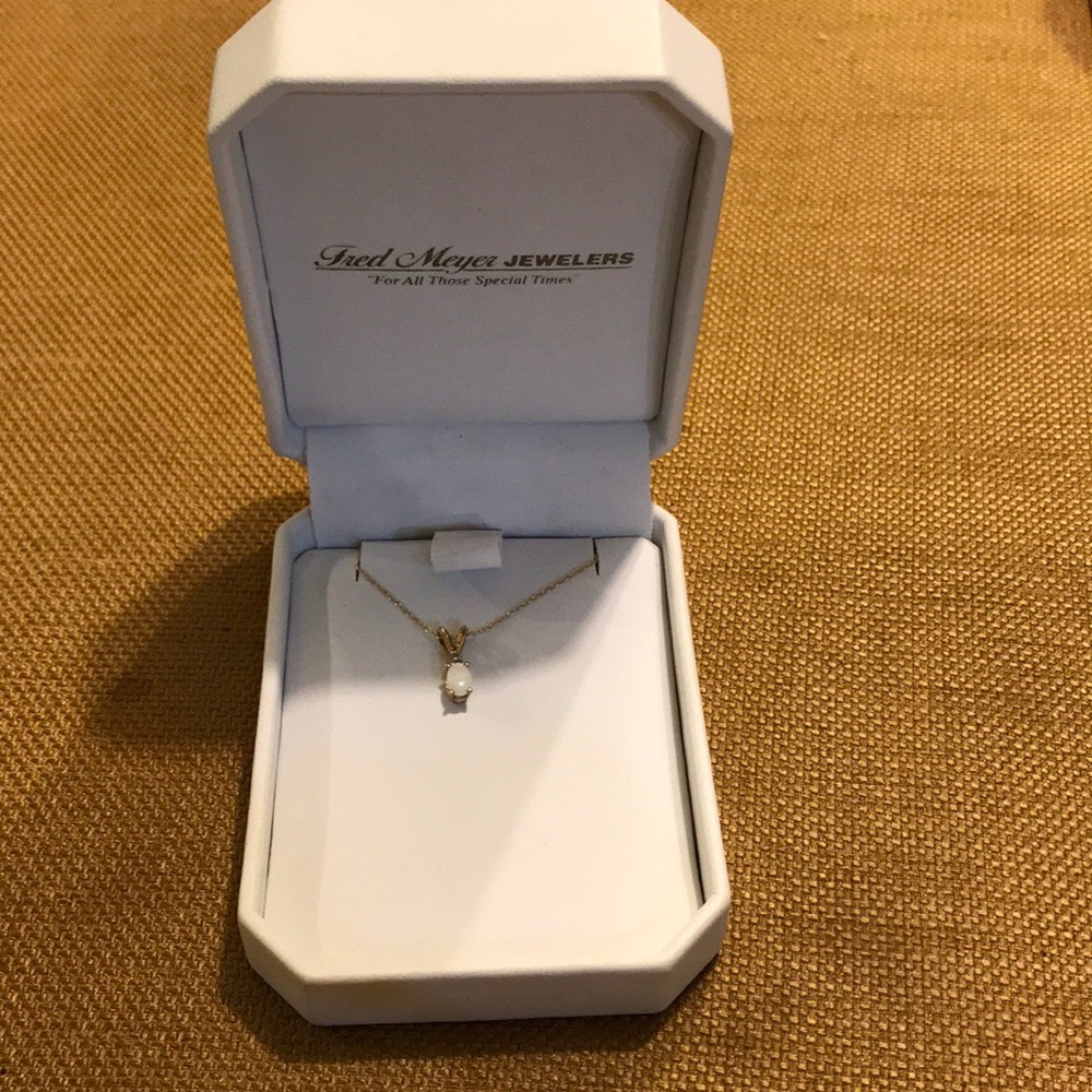 Fred Meyer jewelers 10k necklace
