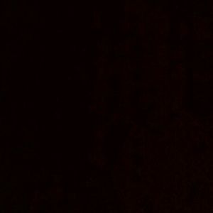 Meet your Posher, Fred