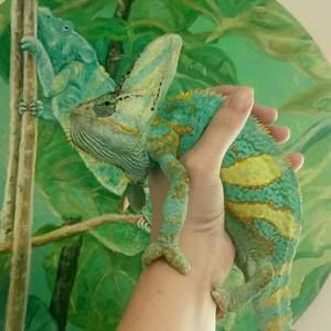 Meet your Posher, Alina