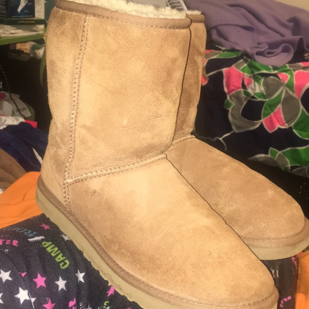 Classic short chestnut uggs