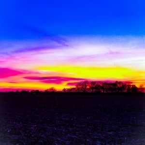 Meet your Posher, Dominick