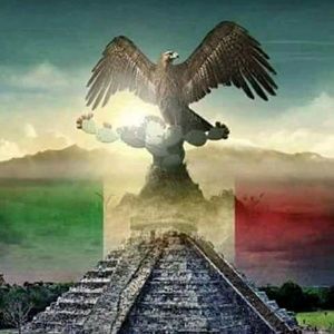 Meet your Posher, Jerry