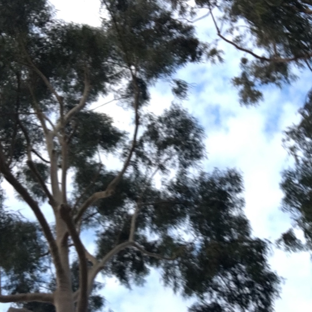 Meet your Posher, Norma