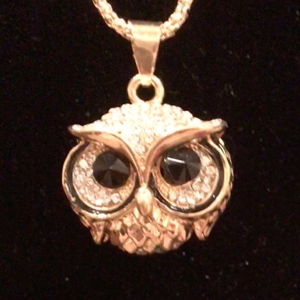 ADD-ON Dramatic Long owl pendant