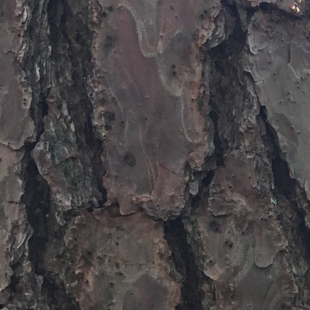 Meet your Posher, Scott