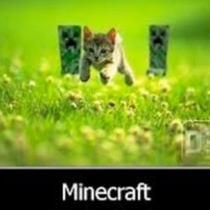 Meet your Posher, Nicholas